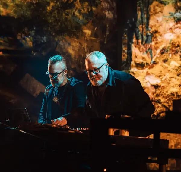 Carbon Based Lifeforms