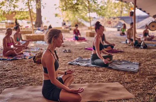 Vibrational Medicine